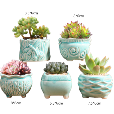small plant pots for gifts